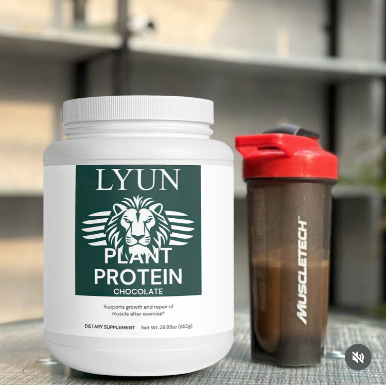 LYUN H&M Plant Protein (Chocolate)