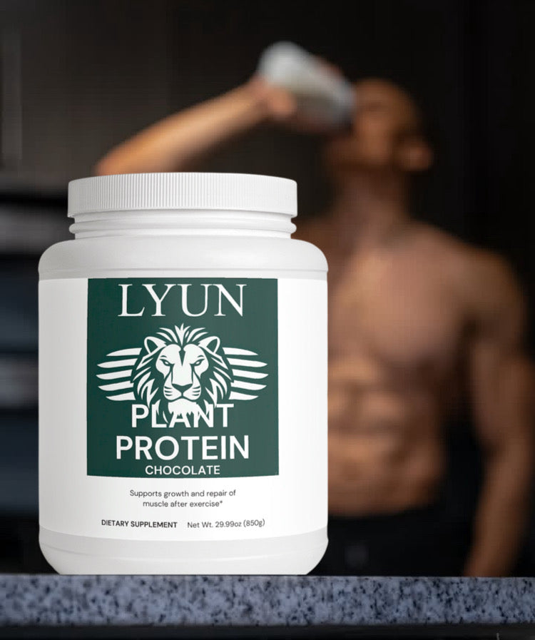 LYUN H&M Plant Protein (Chocolate)